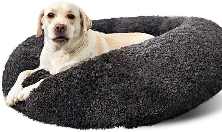 Dog Beds for Active Dogs Should Be Strong and Flexible