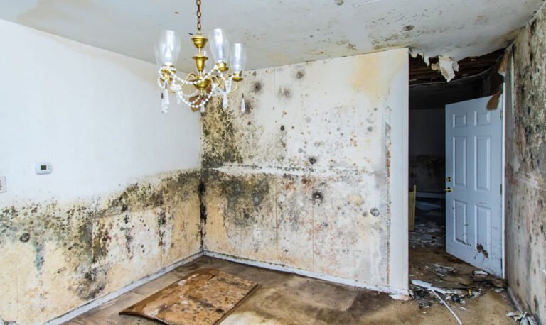 What happens if you leave water damage untreated?