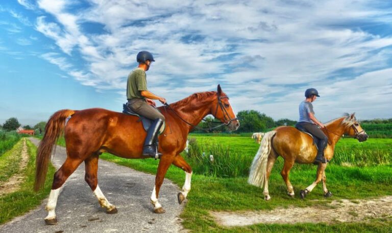 8 Must-Know Tips for Safe and Fun Horseback Riding