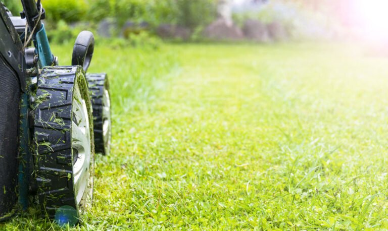 Spring Lawn Care Tips To Revive Your Yard After Winter