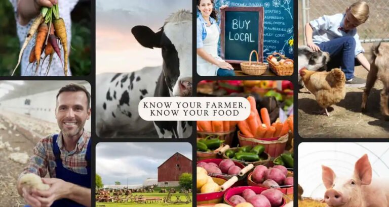 How Connectivity Is Supporting Education, Agriculture and Local Businesses How Connectivity Is Supporting Education, Agriculture and Local Businesses